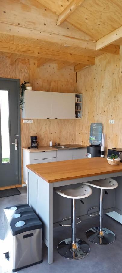 Tiny House Het Polderhuisje Streefkerk المظهر الخارجي الصورة
